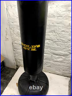 Gold's Gym Punch Bag Freestanding tubular trainer for 360° boxing (RRP £249.99)