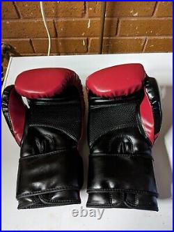 Hammer Punch Bag, Everlast Boxing Stand And Gloves